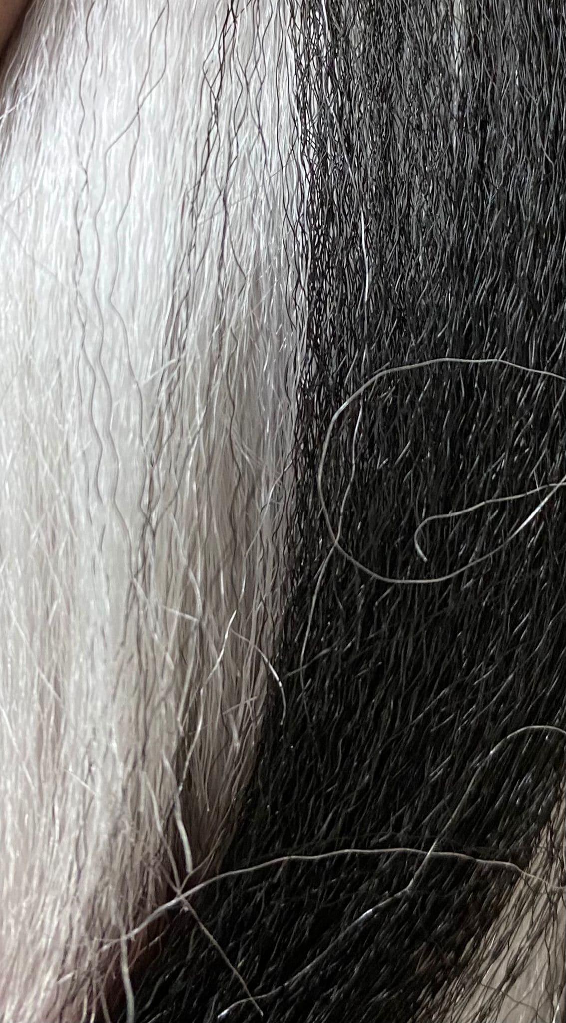 PELO TERNZA XPRESSION ULTRA BRAID - Beauty Fair Cosmetics