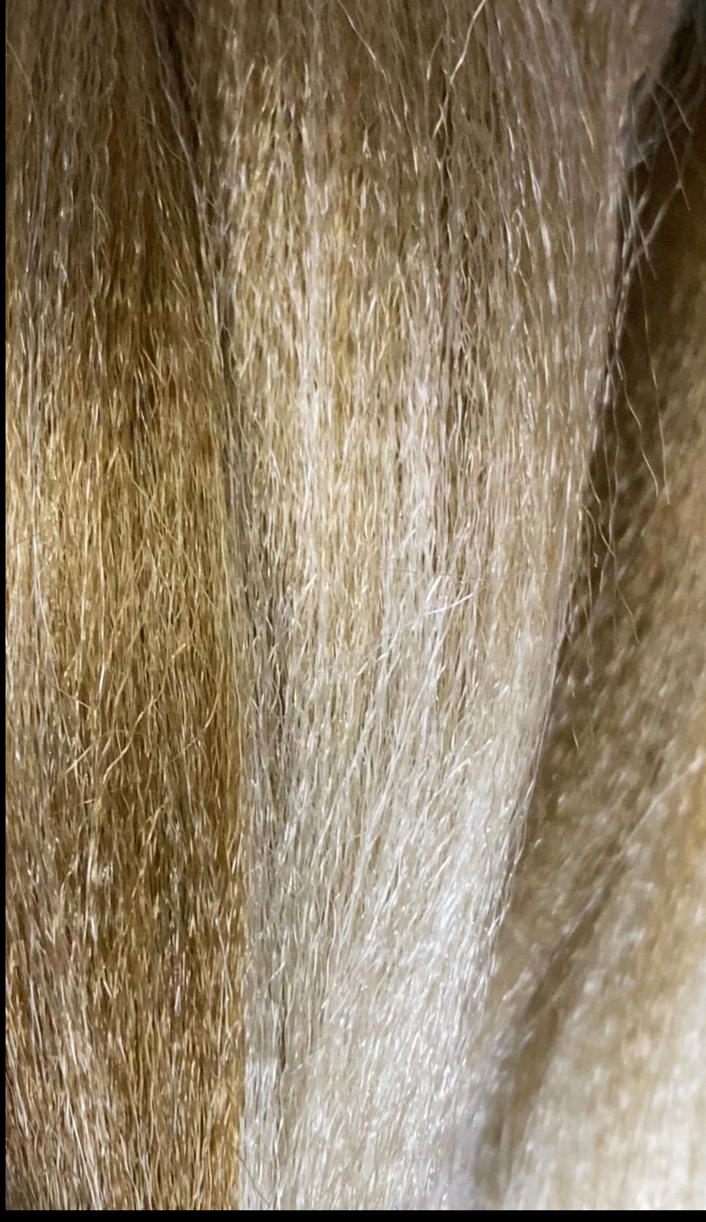 PELO TERNZA XPRESSION ULTRA BRAID - Beauty Fair Cosmetics