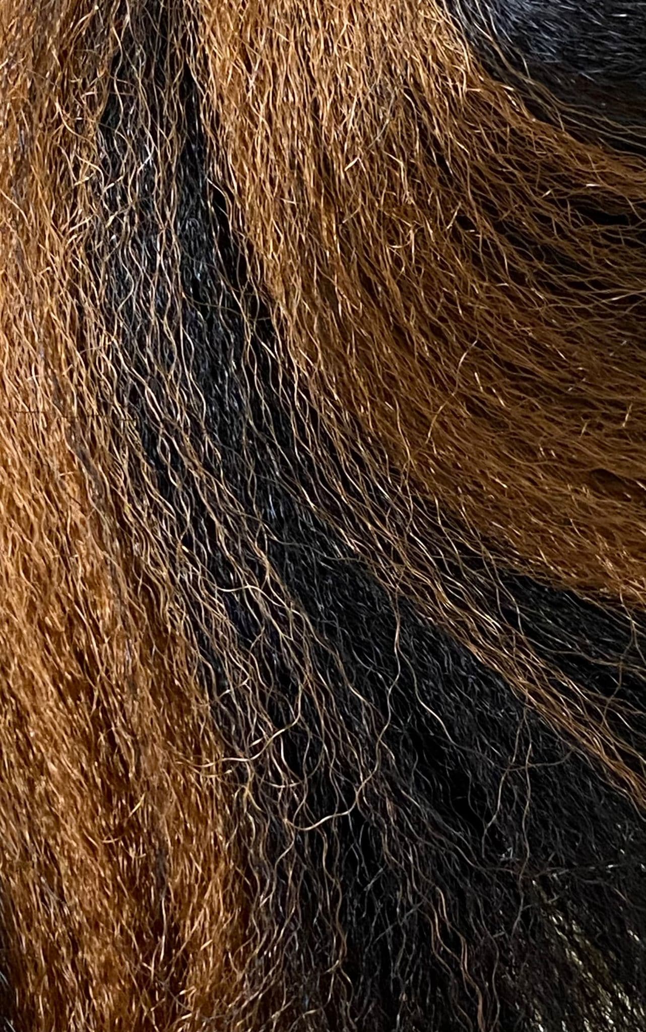 PELO TERNZA XPRESSION ULTRA BRAID - Beauty Fair Cosmetics