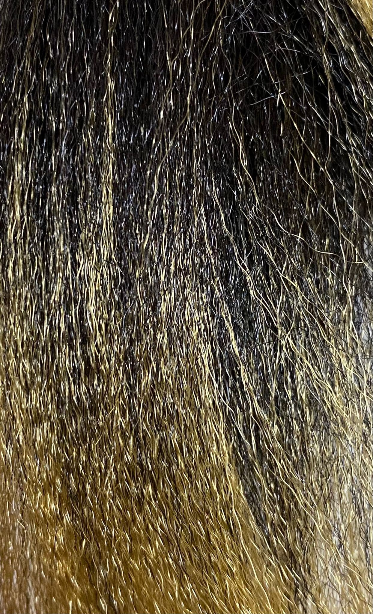 PELO TERNZA XPRESSION ULTRA BRAID - Beauty Fair Cosmetics