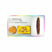 EXTENSIONES DE KANEKALON ONDULADAS - MONACO 5000 - H'ADORA