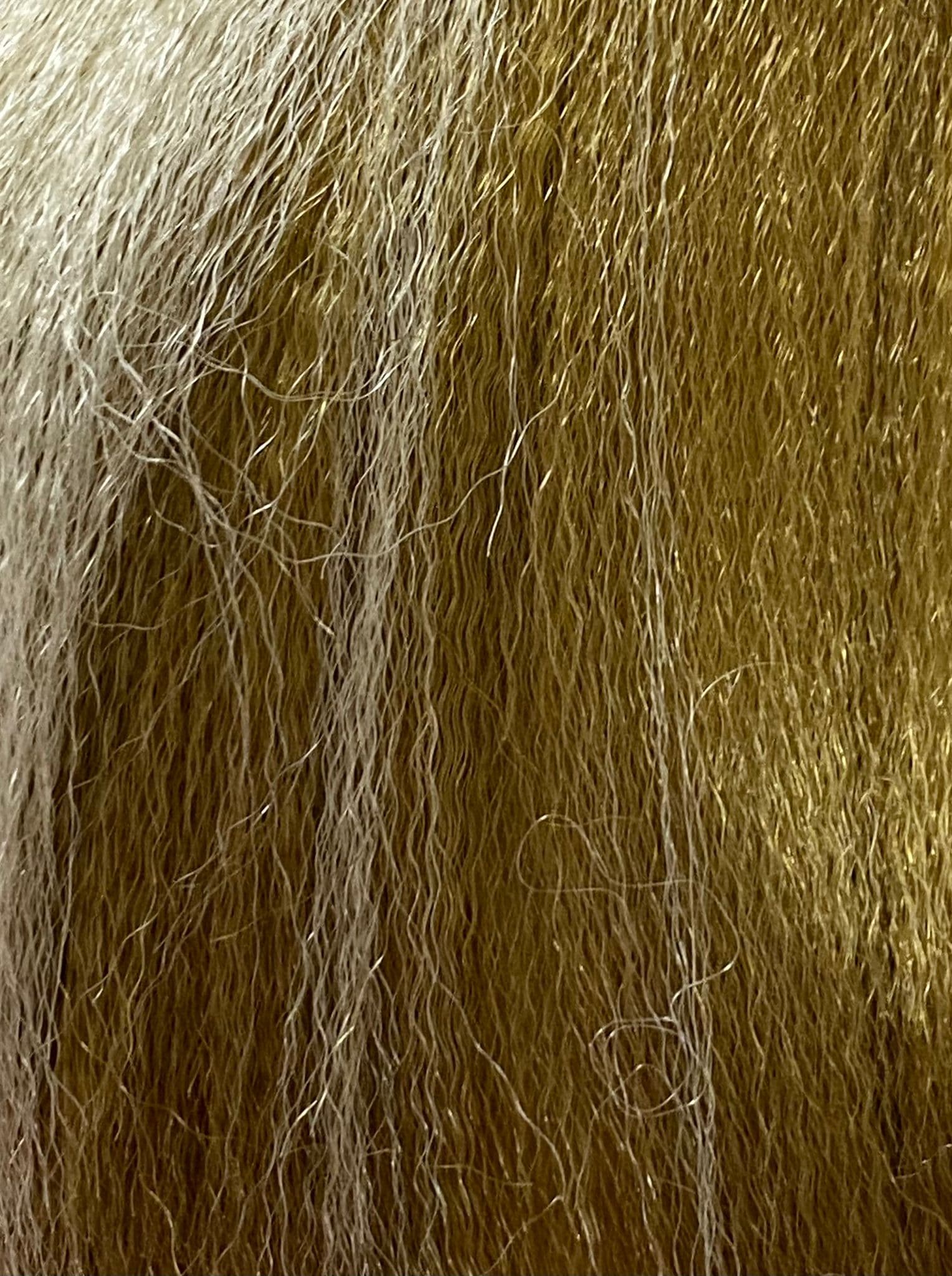 PELO TERNZA XPRESSION ULTRA BRAID - Beauty Fair Cosmetics